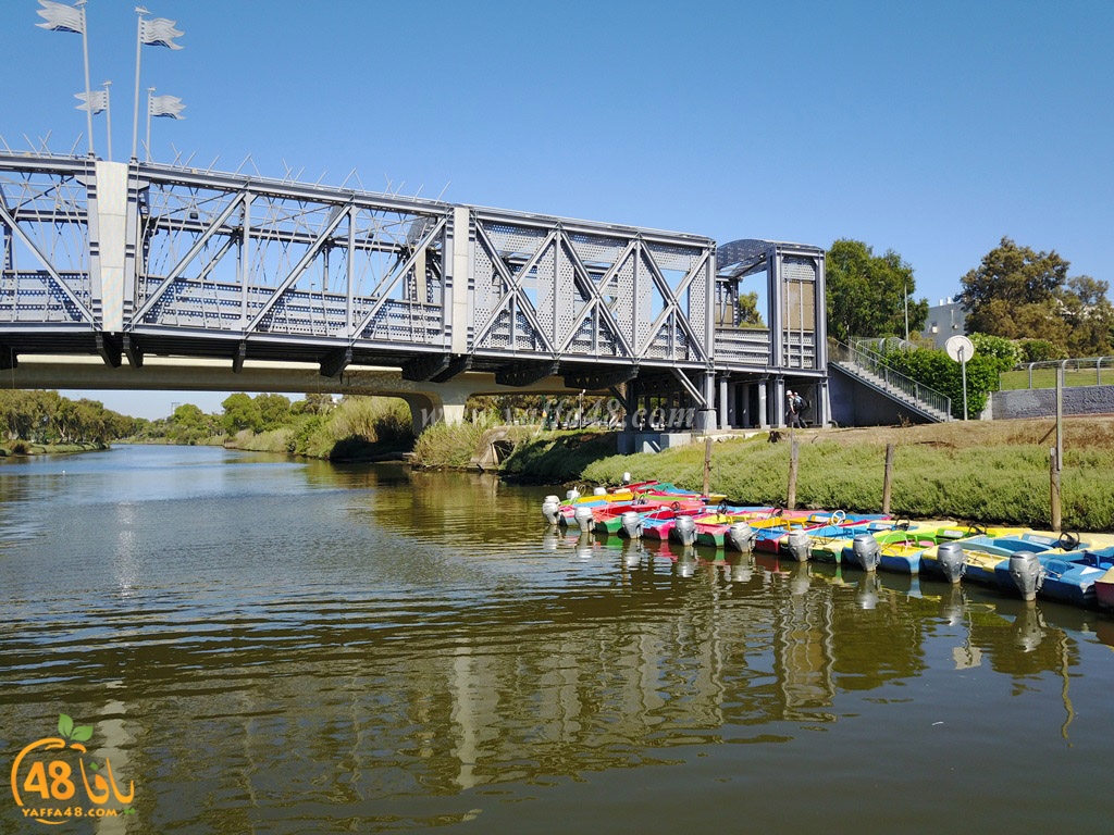 al3oja nahre (12).JPG